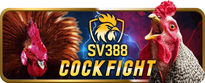 Cá cược thể thao G6BET