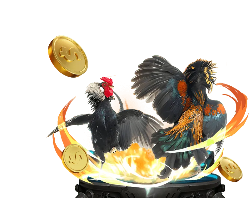 Tổng quan đá gà G6BET